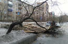 Читу начали украшать к наступающему году свиньи