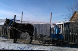 Администрация села Нижняя Хила не заботится о развозе воды для селян