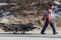 У 70 % жителей Сретенска нет дров для отопления