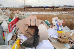 Директор педколледжа возмутилась подрядчиками, выкинувшими мусор их учреждения на мемориале в Чите