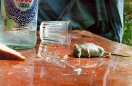 Стоп-Бухло: Женщина и два её сына насмерть отравились спиртным в Агинском районе