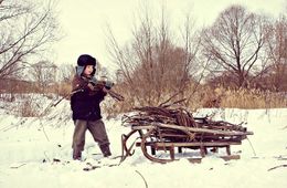 Депутаты краевого Заксобрания разрешат забайкальцам собирать валежник всегда и везде
