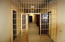 Директор «Забайкаллесхоза» помещен в ИВС