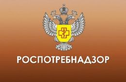 Медведев пообещал решить судьбу Роспотребнадзора, если ведомство не справится со своими задачами