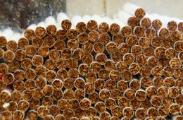 Что нового ждет россиян, начиная с марта 2019 года?