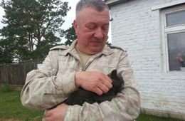Администрация губернатора проверит информацию о прокатившем чиновников на служебном авто Гурулеве
