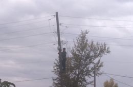 «Вечорка ЦУР»: Соседи незаконно подключились к электричеству — Шерловая Гора