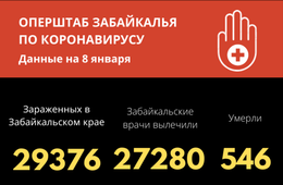 Число инфицированных коронавирусом за весь период составило 29376 забайкальцев