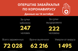 В Забайкалье выявили  247  новых случаев заражения коронавирусом за сутки