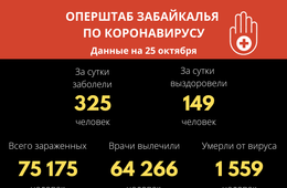 В Забайкалье выявили 325 новых случаев заражения коронавирусом за сутки