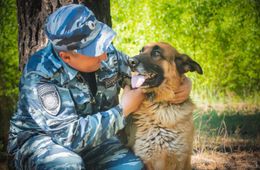 В Забайкалье полицейская собака Фрайер нашла без вести пропавшую женщину 