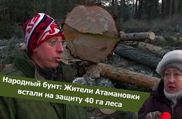 ​«Вечорка ТВ»:​Народный бунт: Жители Атамановки встали на защиту 40 га леса