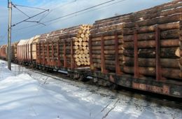 Пять лет колонии – за контрабанду леса на миллиард рублей 