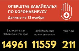 Больше 200 забайкальцев скончались от коронавируса с начала пандемии 