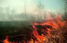 ​Дождь со снегом спасают Борзю и Улеты от пожаров