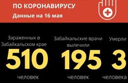 Общее число зараженных COVID-19 в Забайкалье перешагнуло отметку в 500 человек