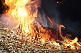 Житель села в Забайкалье подозревается в поджоге 10 тонн сена
