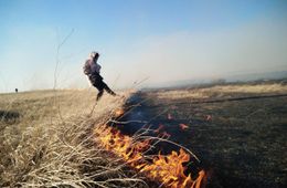 ​Власти ввели особый противопожарный режим в большинстве районов края