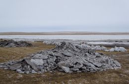 ​Сотрудники Даурского заповедника поймали бригаду, добывающую соль на уникальном озере в Борзинском районе