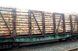 Забайкальские таможенники выявили контрабанду в Китай лесоматериалов на 83 млн рублей