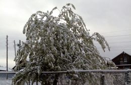 Зима вернулась в Забайкалье