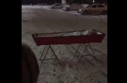 Самарцы преподнесли первый подарок Дмитрию Кочергину