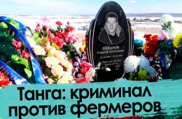 Драка в Танге: один убит, другой ранен 