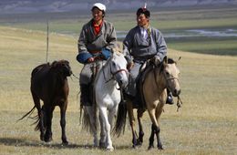 Вооруженные монголы задержаны в Забайкалье