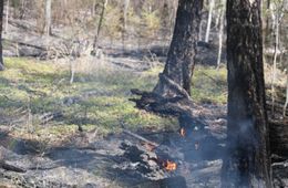 Жилой дом и заброшенные постройки сгорели в селе Неляты в Забайкалье