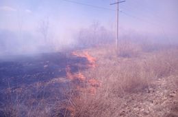 Поджигателя сухой травы догнали по следам от трактора в Улётовском районе