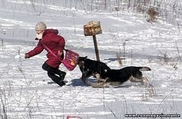 После публикации 