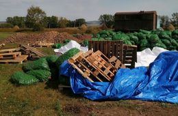 ​Китайские овощеводы губят покос семьи из Маккавеево, устроив перевалочную базу для картошки