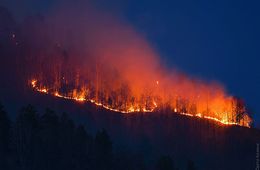 ​Лесной пожар 7 мая вплотную подошел к Карымской (ВИДЕО)