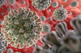 Еще у двоих человек выявили коронавирус. Теперь официально в Забайкалье трое заразившихся.