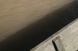 Жители Могочинского района бьют тревогу из-за загрязнения реки Тунгир (видео)