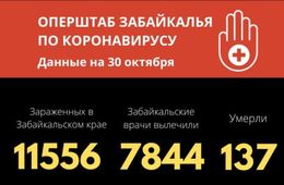 В Забайкалье за сутки от COVID-19 скончались 5 человек, еще 229 человек заболели