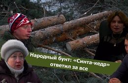 Вечорка ТВ: Народный бунт: «Синта-кедр» ответил за все