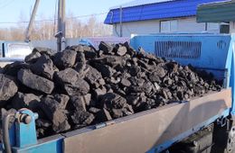  «Дров нет, привезем уголь», — администрация поможет семье мобилизованного в Борзинском районе