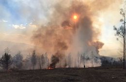 В лесах Забайкалья введен режим ЧС