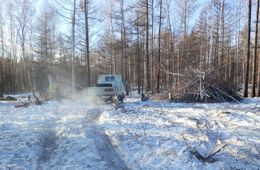 По дрова от первого лица