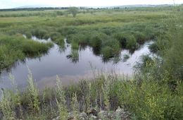 Уровень воды повысился на некоторых реках Забайкалья