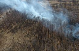 Новый лесной пожар разгорелся возле села Иван-Озеро в Забайкалье