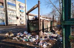 Про мусор, Урюм и спасибо медикам