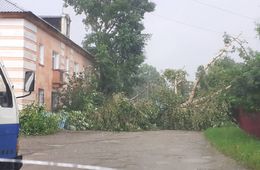 Штормовой ветер повалил деревья и забор в Сретенском районе (видео)
