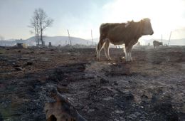 Жители пострадавшего от степных пожаров в 2019 году забайкальского села пожаловались на никем не восстановленное кладбище