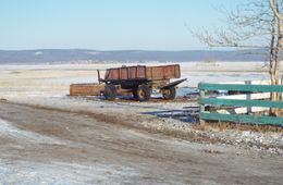Мусорный Катаклизм Арахлея