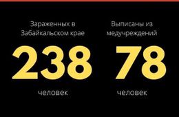 Число зараженных коронавирусом в Забайкалье за сутки выросло на 23. Общее число - 238