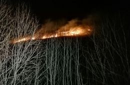 ​Прокуратура проводит проверку по факту лесного пожара в Атамановке — власти отчитывались о его ликвидации, пока на месте работала «Вечорка»