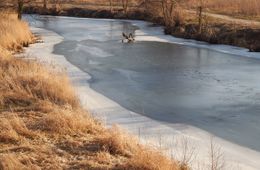Трехлетний мальчик провалился под лед и утонул в реке Кручина в Забайкалье