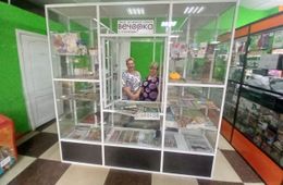 Очередной киоск «Вечорки» открылся на КСК в Чите